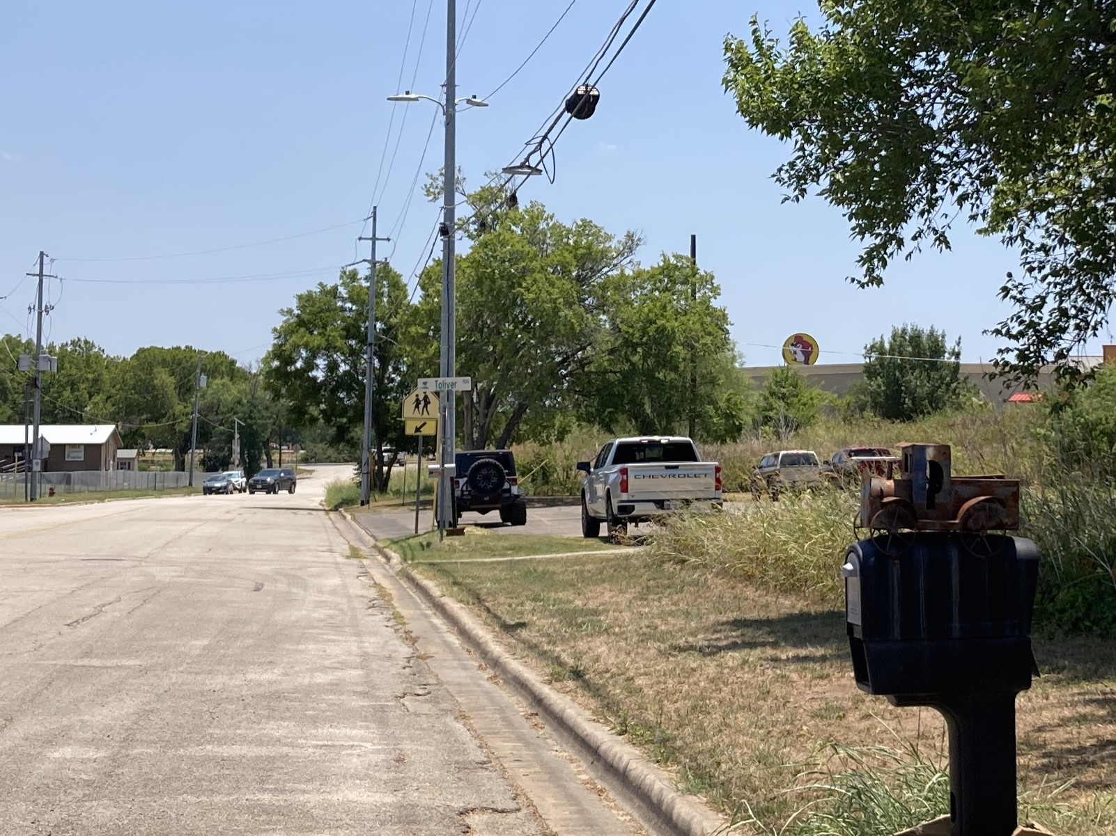 a buc-ee's sign visible above a highway retaining wall, bushy trees, and tall grassy front yards